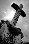 cross copy